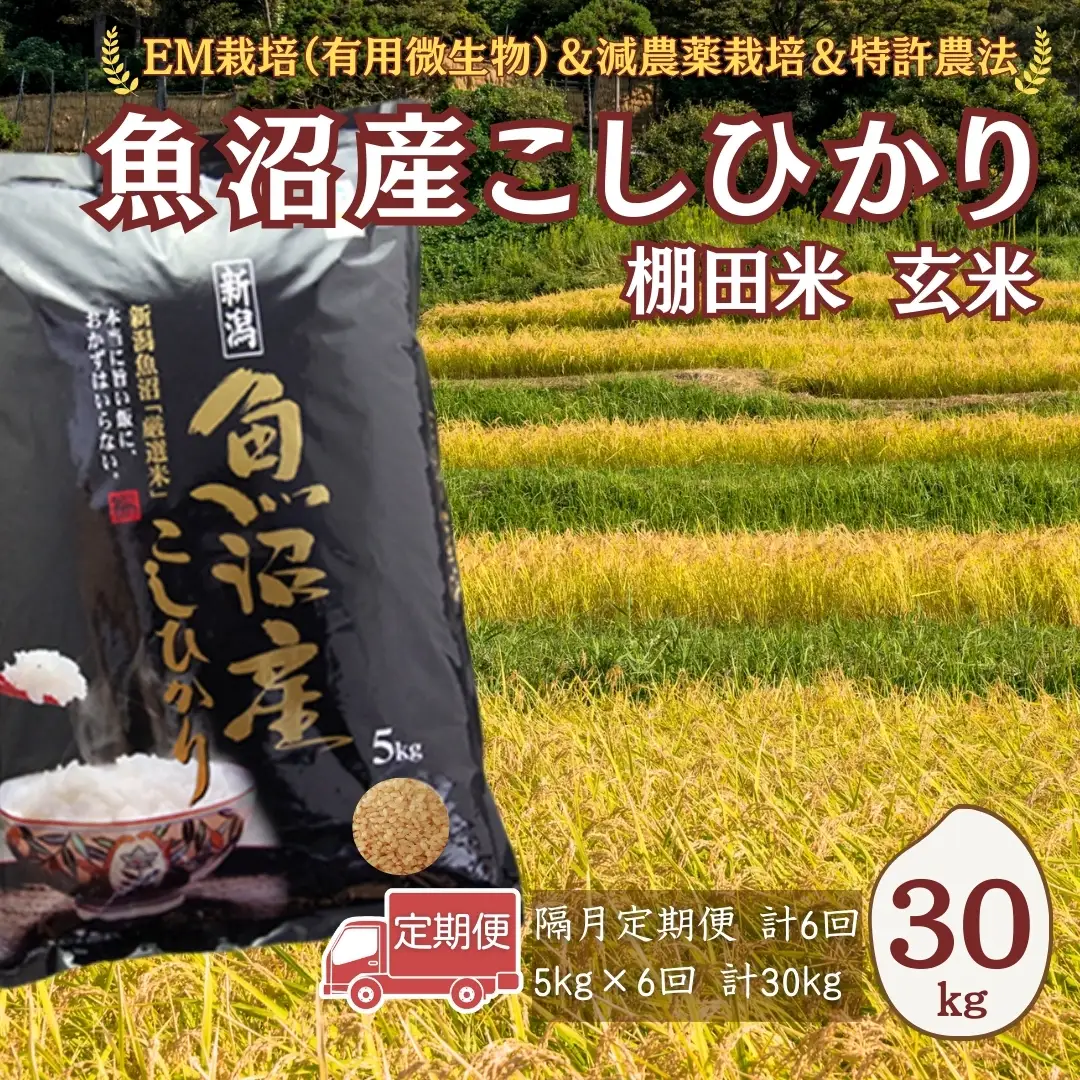 【令和7年 定期便】魚沼産コシヒカリ棚田米 玄米 30kg(5キロ×6回) 佐藤農場|おこめ 玄米 小千谷 新潟