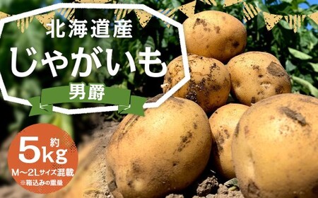 北海道産 じゃがいも 男爵 M～2Lサイズ混載 約5kg 1箱 山田農場 ジャガイモ 芋 いも イモ 国産 【2026年9月下旬-2027年1月上旬迄発送予定】