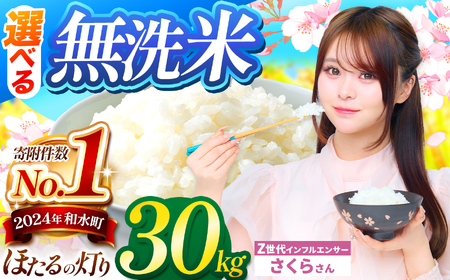 令和7年産 熊本県産 ほたるの灯り 無洗米 30kg  | 選べる 銘柄 ほたるの灯り 森のくまさん 容量 5kg 10kg 15kg 20kg 25kg 30kg 特A 小分け 訳あり 規格外 