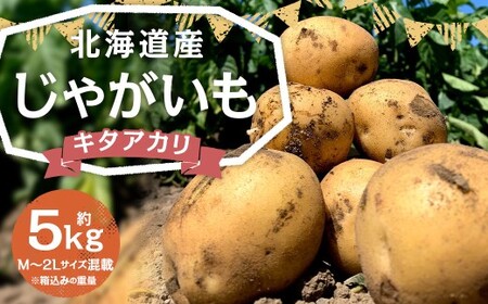 北海道産 じゃがいも キタアカリ M～2Lサイズ混載 約5kg 1箱 山田農場 ジャガイモ 芋 いも イモ 国産 【2026年9月下旬-2027年1月上旬迄発送予定】