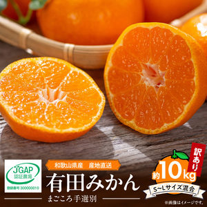 ZE6424_【2026年先行予約】【家庭用】 和歌山県産　有田みかん 約10kg (S～Lサイズ混合)【まごころ手選別】