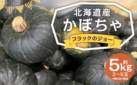北海道産 かぼちゃ （ブラックのジョー） 約5kg セット 山田農場 南瓜 カボチャ 野菜 やさい 北海道 京極町 常温 【2026年10月上旬-11月上旬迄発送予定】