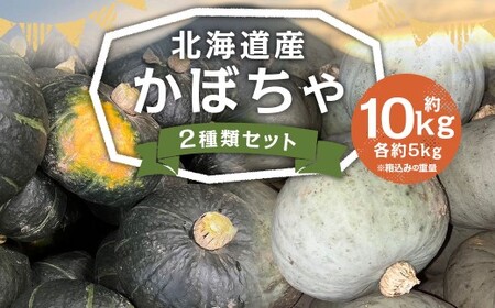 北海道産 かぼちゃ （ブラックのジョー） 約5kg ・ 北海道産かぼちゃ （雪化粧） 約5kgセット 山田農場 南瓜 カボチャ 冬至用かぼちゃ 野菜 やさい 北海道 京極町 常温 【2026年10月上旬-11月上旬迄発送予定】