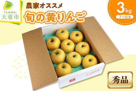 農家 オススメ 旬の黄 りんご 3㎏ フルーツ 果物 山形 08-03-080