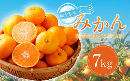 熊本県産みかん BUSAIKU MIKAN 7kg 【2026年10月上旬発送開始】 フルーツ 果物 くだもの みかん 蜜柑 柑橘