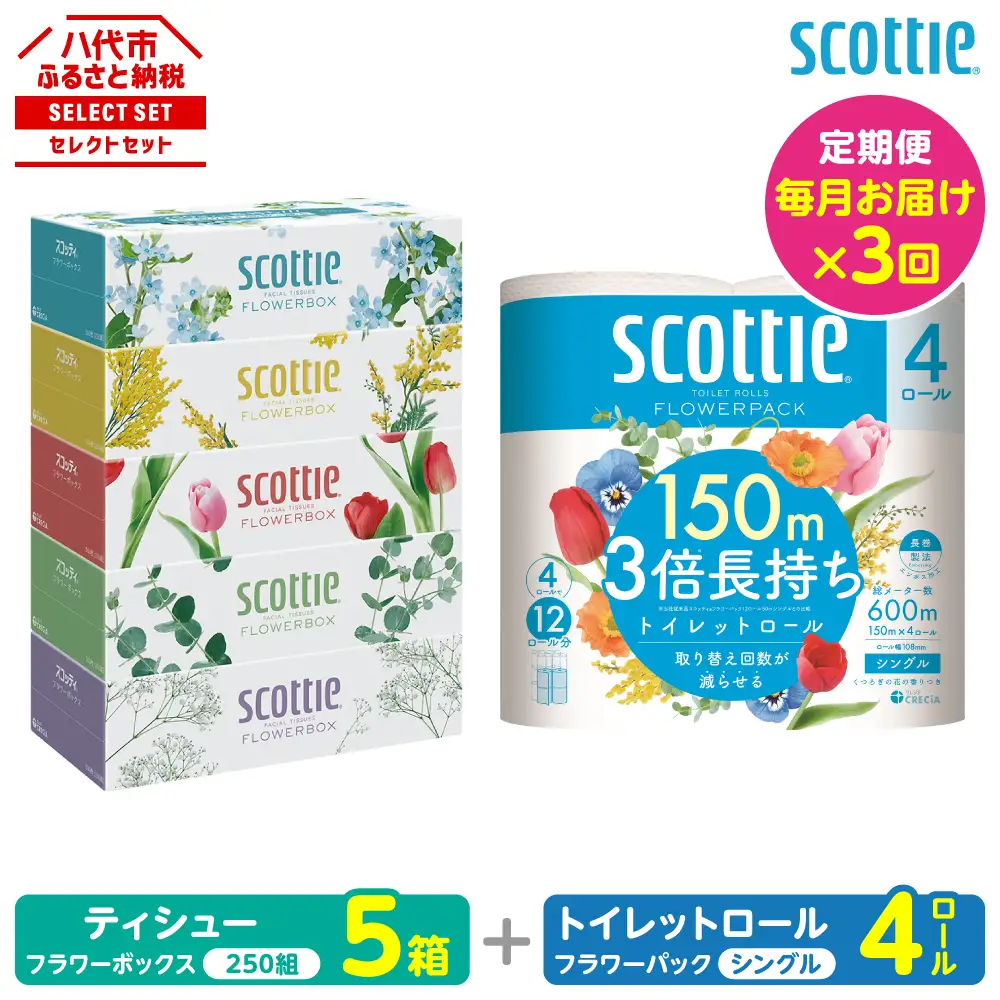 【定期便3回】【毎月お届け】【スコッティ】 組み合わせ ティシュー フラワーボックス 250組 5箱 計15箱 トイレットロール シングル フラワーパック 3倍長持ち 4ロール 計12ロール ティッシュ トイレットペーパー 日用品 防災備蓄 ストック 備蓄 新生活 防災 消耗品 生活用品 日用消耗品 箱ティッシュ 熊本県 八代市