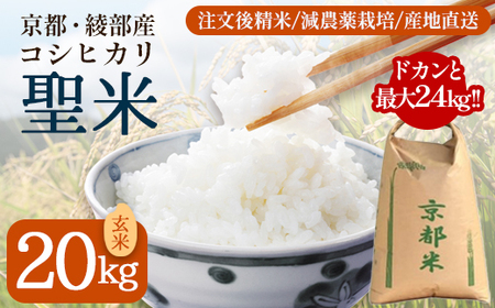 業務用 京都府産コシヒカリ 聖米 玄米20kg | 米 お米 こしひかり 玄米