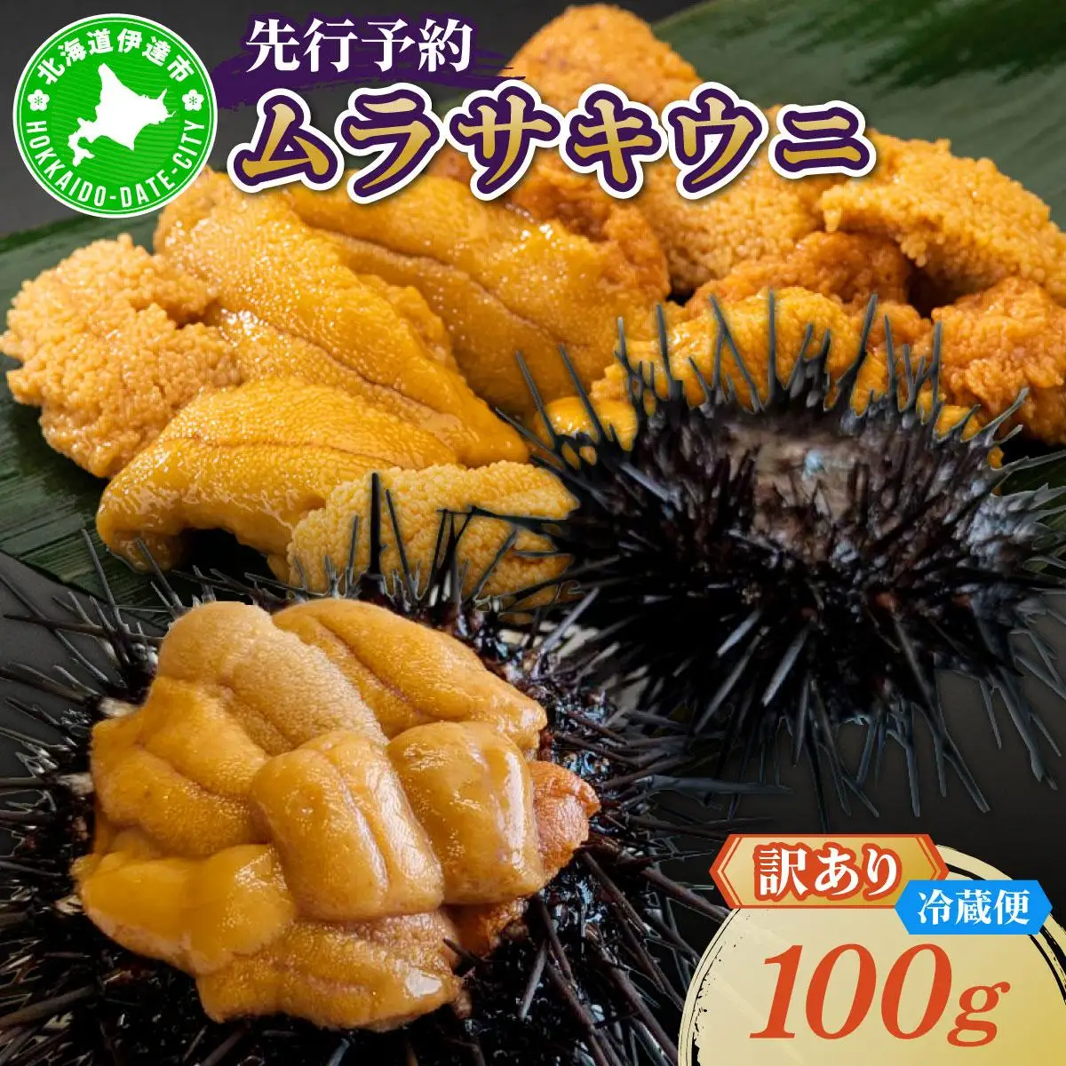 ＜先行予約＞ 北海道産 ムラサキウニ（訳あり）100g【ogm-028】