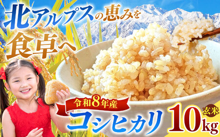【令和8年産先行予約】コシヒカリ 玄米 約10kg | ニチカ農園