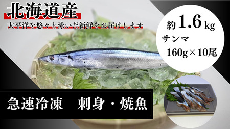 北海道産急速冷凍サンマ　160g×10尾　約1.6kg（AM0012）