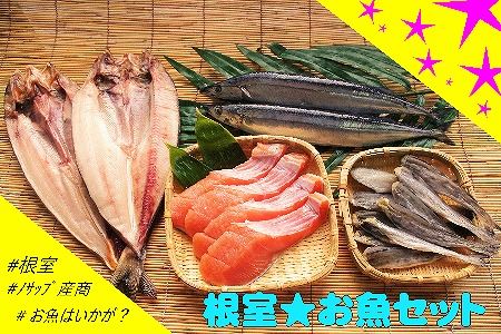 【北海道根室産】根室のお魚セットA B-59007