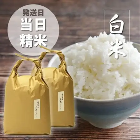 令和7年産 福岡県産「元気つくし」5kg×2袋 [10kg] [白米]【1687988】