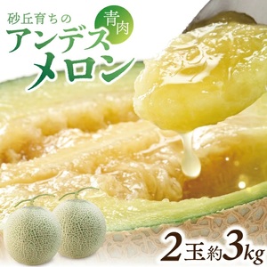 SZ0323　アンデスメロン　約3kg(青肉/2玉入/つる付き)
