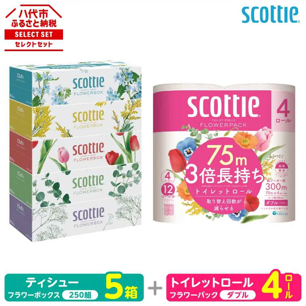 トイレットペーパー ダブル 4ロール ＋ ティッシュ 5箱 セット スコッティ ティッシュ トイレット