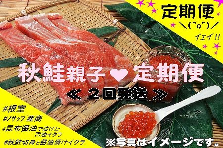 ＜定期便＞【北海道根室産】秋鮭親子Aコース定期便(2回発送) D-59010