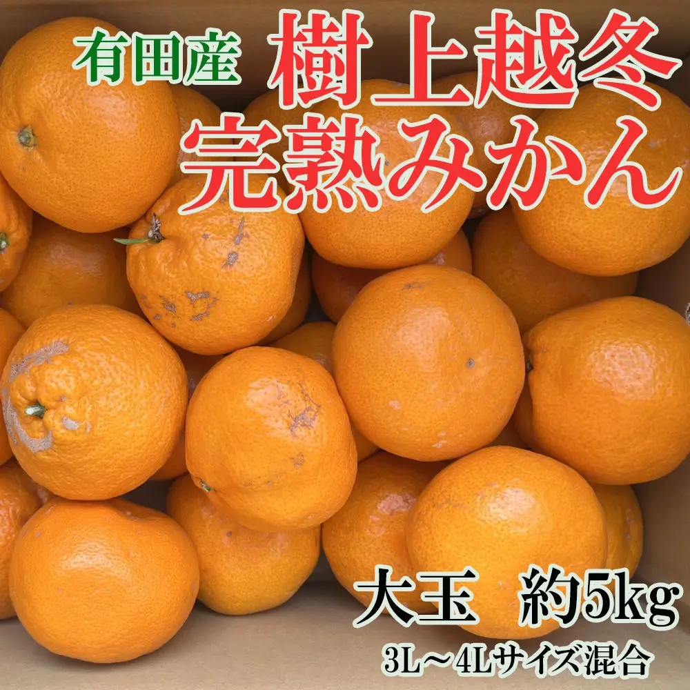 [先行予約]［濃厚・まろやか］有田産樹上越冬完熟みかん大玉約5kg（3L・4Lサイズ・秀優混合品）★2027年1月下旬頃より順次発送