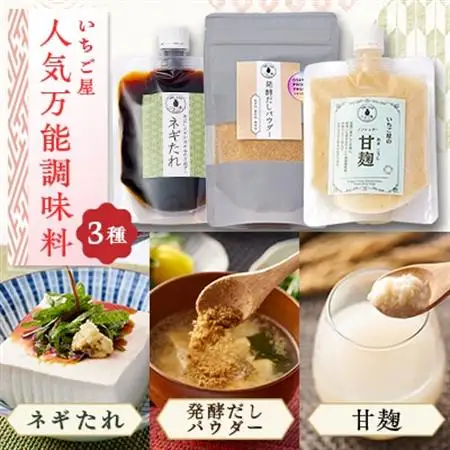 万能調味料人気3点詰合せセット(保存料・着色料無添加)―大阪府岬町・発酵と日本酒いちご屋【配送不可地域：離島】【1712606】