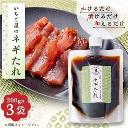 《3袋入り》万能調味料「ねぎタレ」便利なチューブパウチ　保存料・着色料無添加【配送不可地域：離島】【1712909】