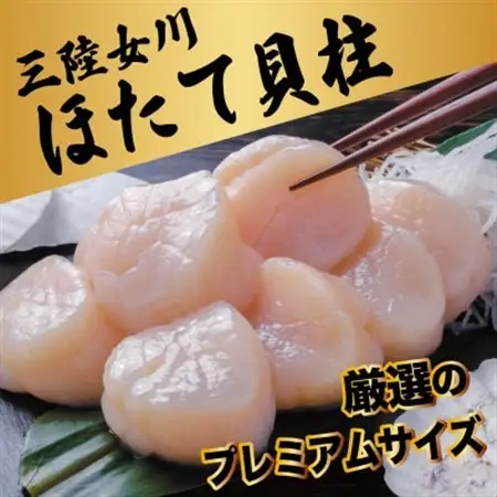 冷凍ほたて貝柱(生食用)　厳選のプレミアムサイズ　500g / CAS凍結 / 三陸　女川町【配送不可地域：離島】【1708067】