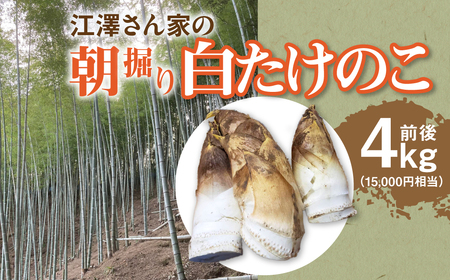 2027年先行予約】江澤さん家の朝掘り白たけのこ W05402 | 千葉県大多喜