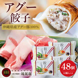 【琉みんみん】沖縄県アグー餃子　4パック 　48個入り