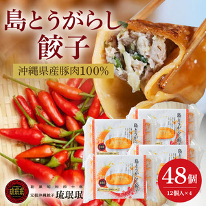 【琉みんみん】沖縄県産島とうがらし餃子　4パック 　48個入り