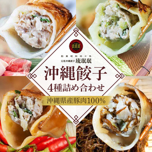 【琉みんみん】沖縄餃子 詰め合わせパック　4パック 　48個入り