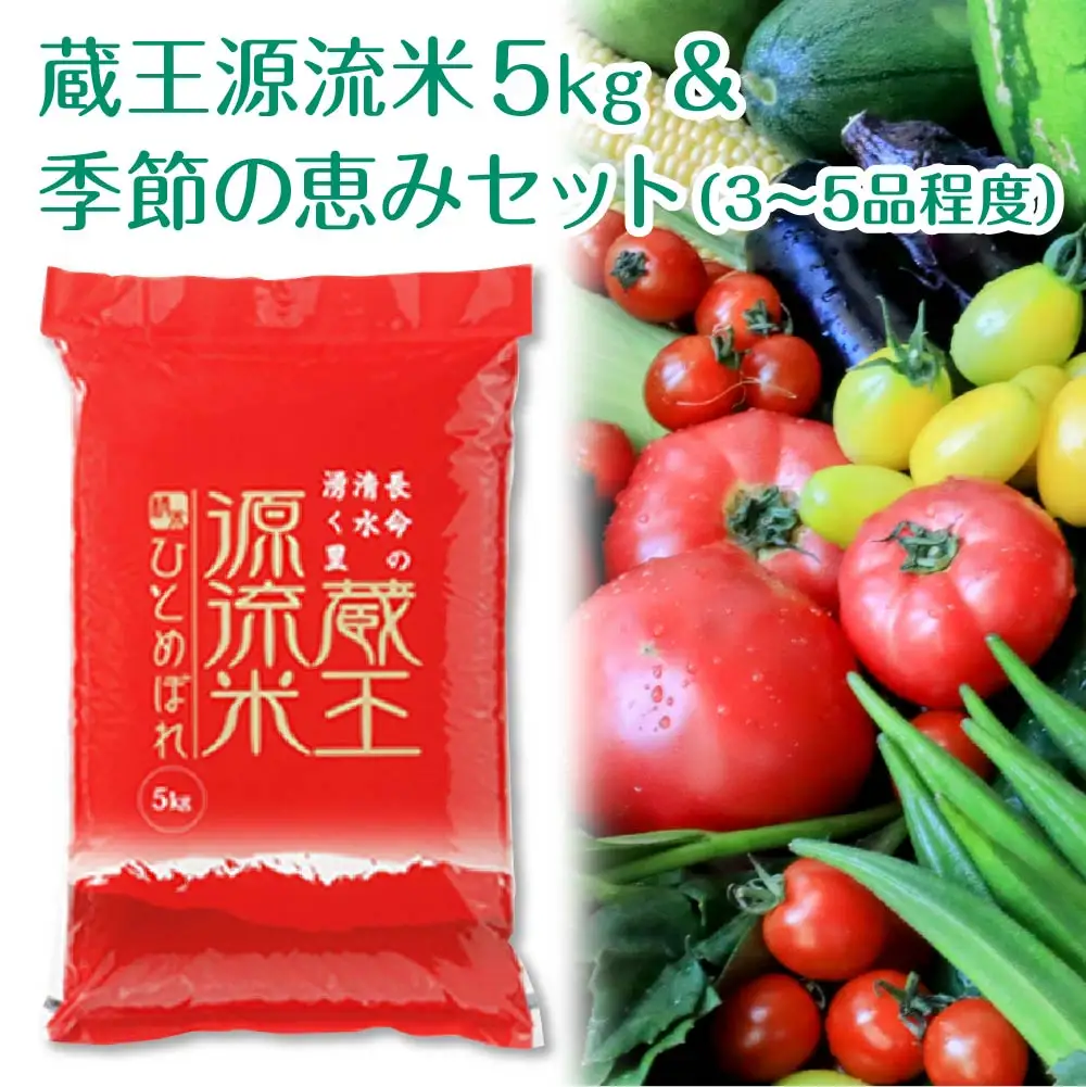 【5か月連続】＜令和7年産米＞蔵王源流米5kg＆季節の恵みセット(3～5品程度)　【04301-0139】