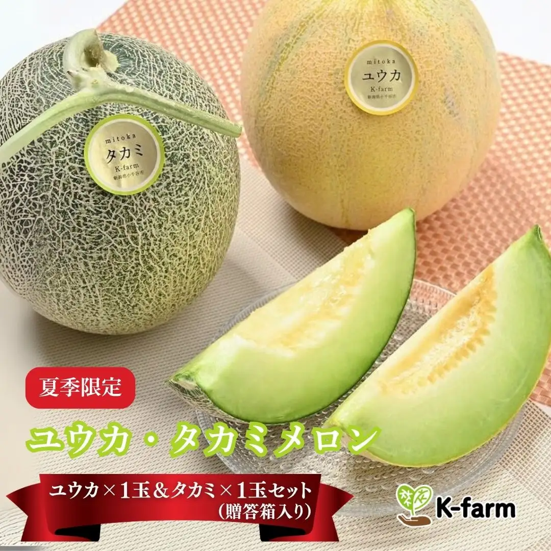【先行予約令和8年夏発送】K-farmこだわりのメロン ユウカ ×1玉 ＆ タカミ ×1玉セット（贈答箱入り）