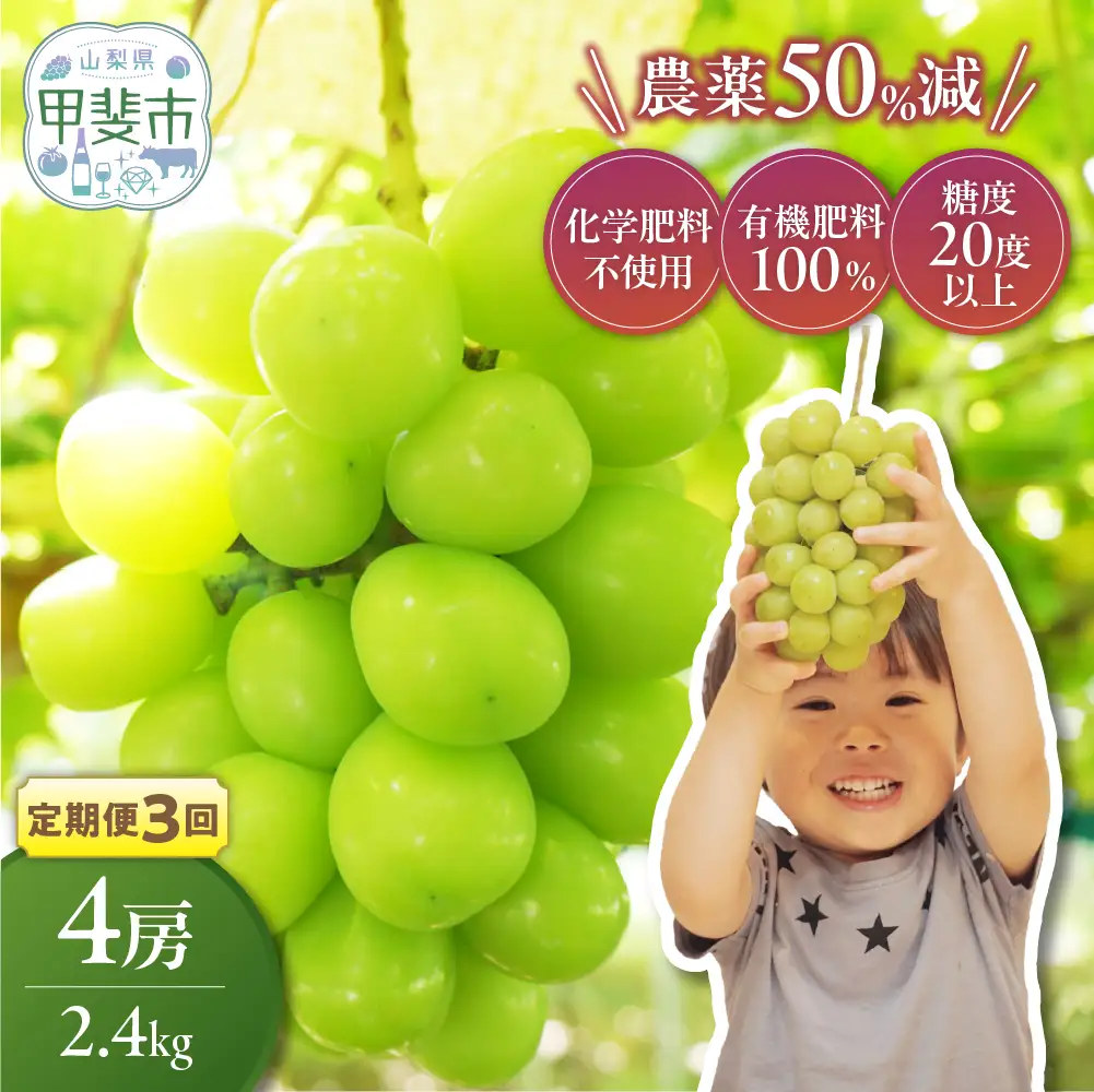 【先行予約】定期便　樹上完熟 シャインマスカット（特別栽培）2.4㎏／4房　3回 山梨シャインマスカット