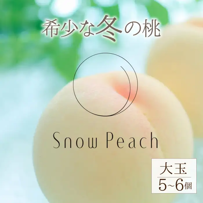 【2026年発送★先行予約】Snow Peach （大玉５～６個入り）208-003