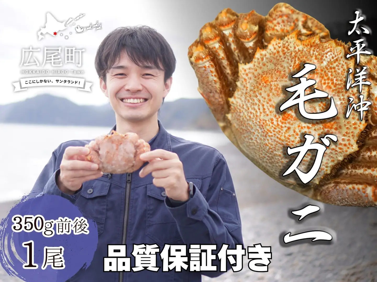 ボイル毛ガニ　350g　１尾（茹で冷凍）【けがに　ケガニ　毛蟹　毛がに　カニ　太平洋　北海道　広尾町　冷凍　ボイル　海鮮　グルメ】(0102)