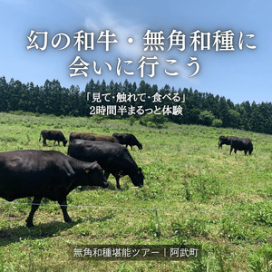 幻の和牛、無角和種に会いにいこう!！「見て・触れて・食べる」を2時間半でまるっと体験！【無角和種堪能ツアー】※体験チケット2名様分