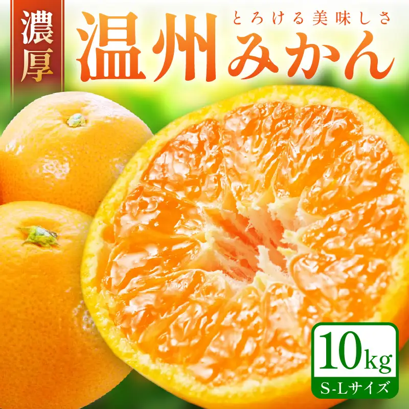 【0059-3】「濃厚な味のとろける美味しさ」温州みかん 10kg《先行予約》