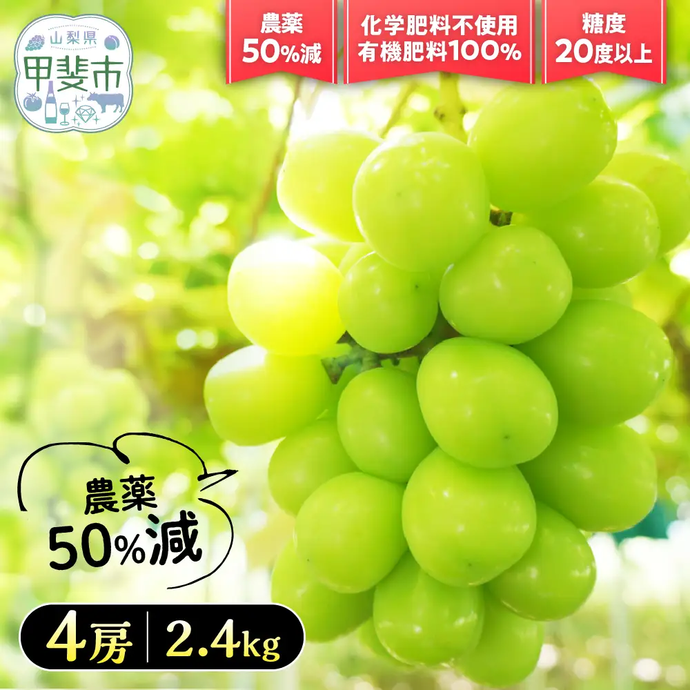 【2026年／令和8年発送】樹上完熟シャインマスカット（特別栽培）2.4㎏／4房