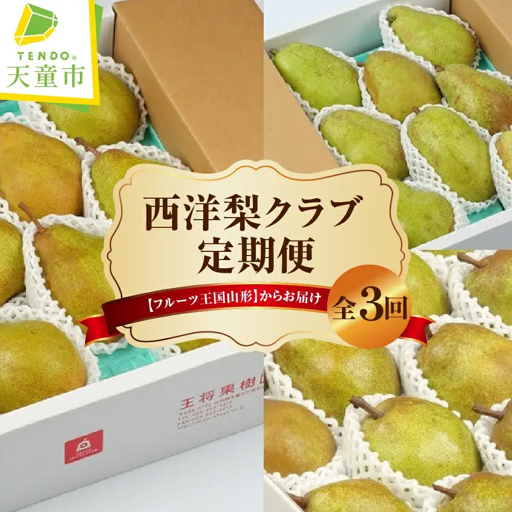 西洋梨 クラブ ( 定期便 ) 全3回 フルーツ 果物 山形 08-03-110