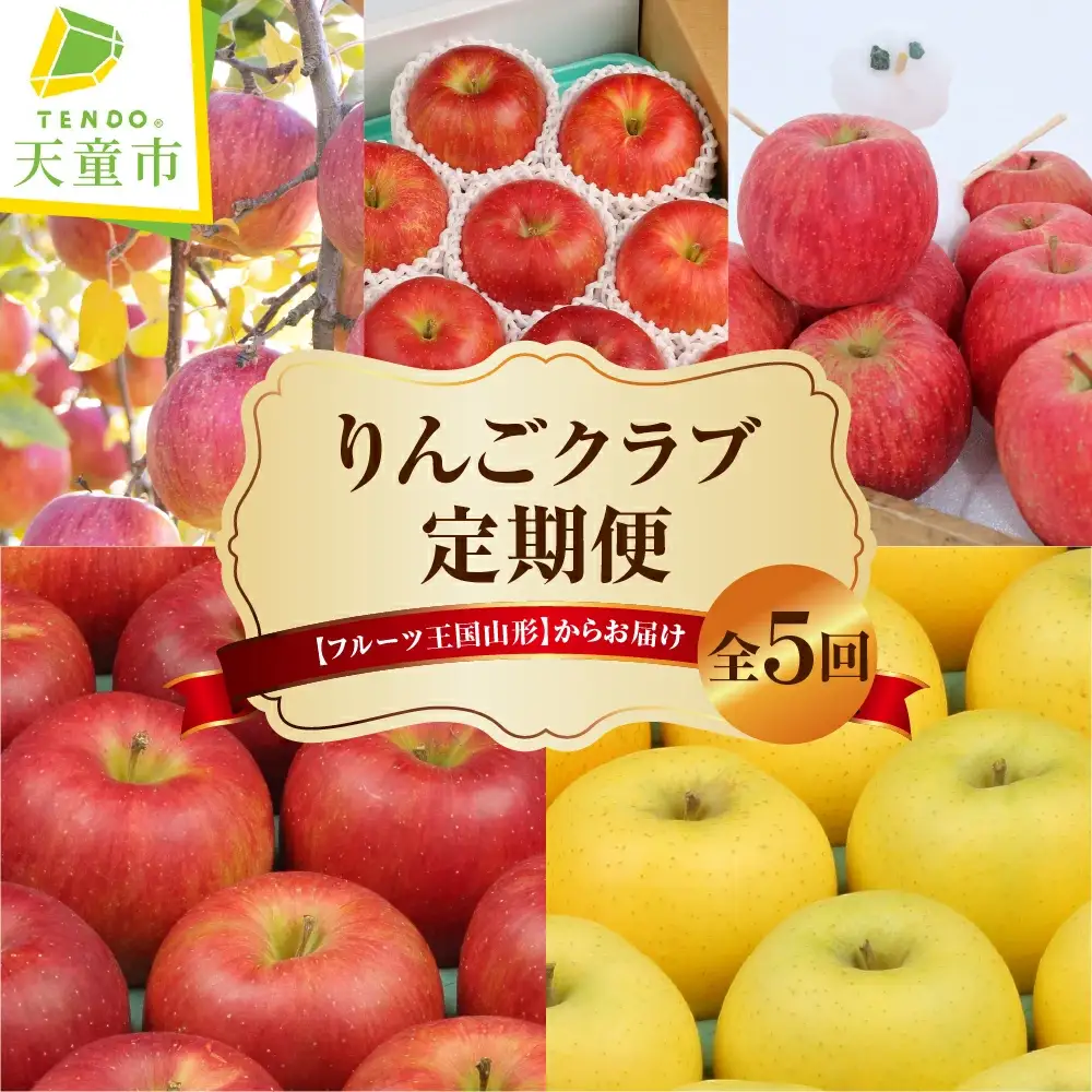 りんご クラブ ( 定期便 ) 全5回 フルーツ 果物 山形 08-03-111