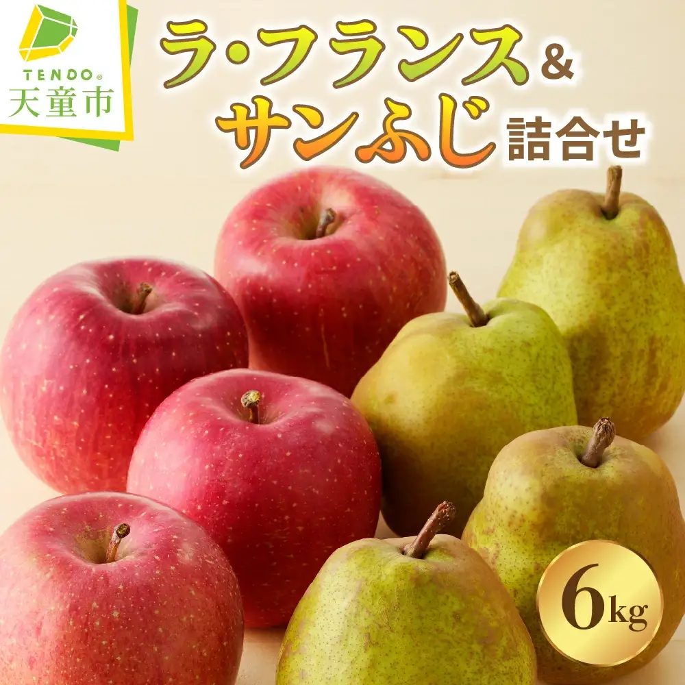 ラ・フランス & サンふじ 詰合せ 6kg フルーツ 果物 山形 08-04-014