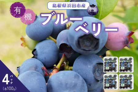 【先行予約】有機ブルーベリー 100g×4パック（島根県浜田市産） 【208_0001】