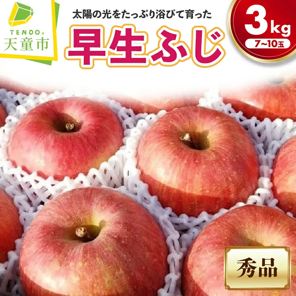 りんご ( 早生ふじ) 3kg フルーツ 果物 山形 08-06-033