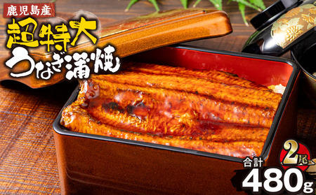 鹿児島産 超特大 うなぎ 蒲焼 ( 無頭 ) (計480g以上・240g以上×2尾) 鰻 蒲焼き 真空パック【株式会社財宝】A1042