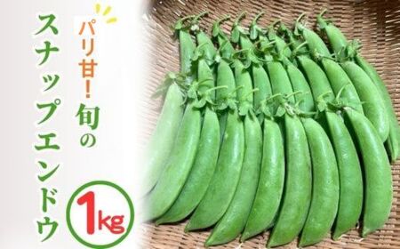 スナップエンドウ 1kg 京都 亀岡産 旬 春 野菜