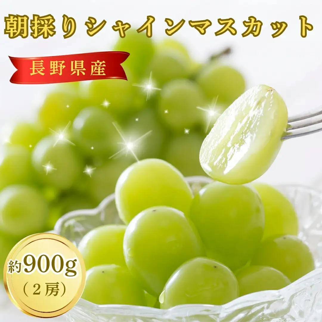 【2026年先行予約】朝採り シャインマスカット 約900g 2房 | シャインマスカット 千曲市 長野県産 信州