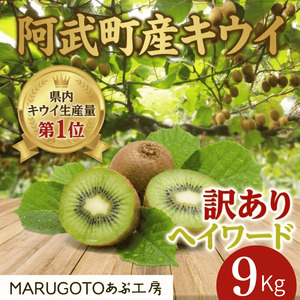 【先行予約】阿武町産 キウイ 訳ありヘイワード（9kg） 山口県産 国産 数量限定 フルーツ 家庭用
