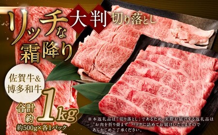 【食べ比べ】 佐賀牛 ＆ 博多和牛 リッチな霜降り 大判 切り落とし 1kg （500g×2） ／ 2種類 黒毛和牛 黒毛和種 和牛 牛肉 お肉 肉 霜降り 九州 福岡県 太宰府市 冷凍