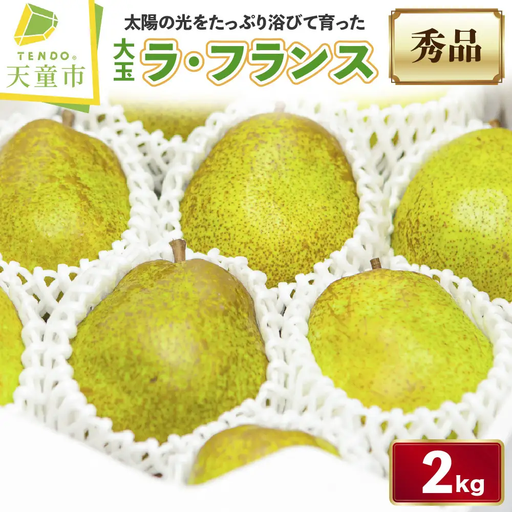 大玉 ラ・フランス 2kg フルーツ 果物 山形 洋梨 ラフランス