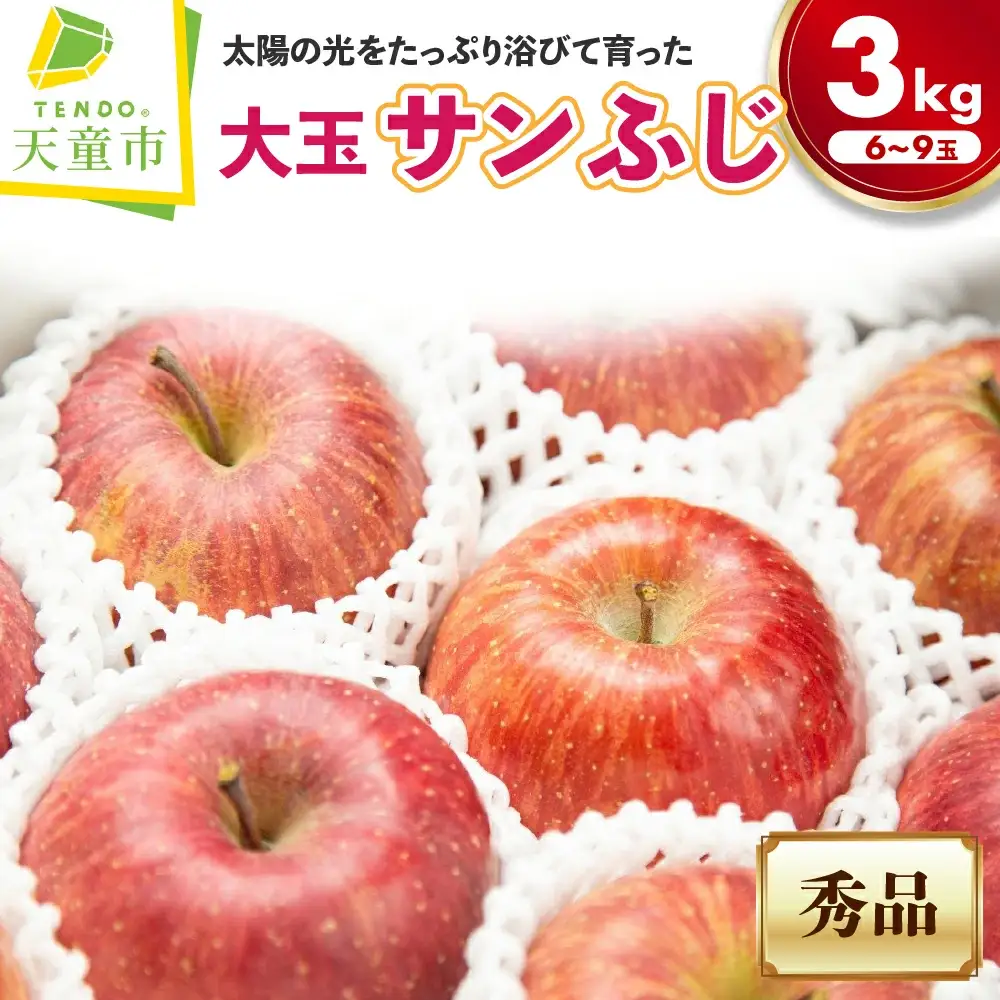 大玉 りんご サンふじ 3kg フルーツ 果物 山形 リンゴ