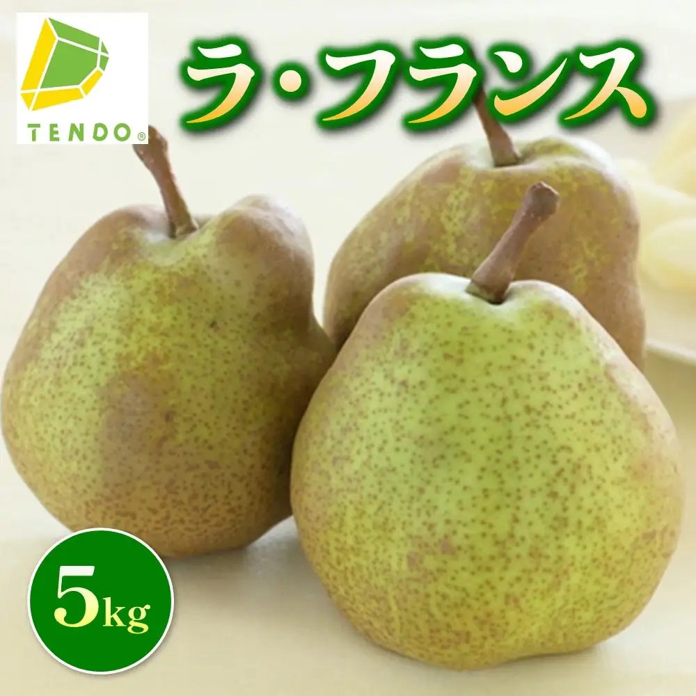 ラ・フランス 5kg フルーツ 果物 山形 洋梨 ラフランス