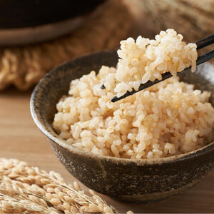 令和8年産 米 玄米 きぬむすめ 岡山市産 ( 5kg × 1袋 )