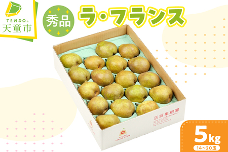 ラ・フランス 5kg 山形 果物 フルーツ 08-03-052